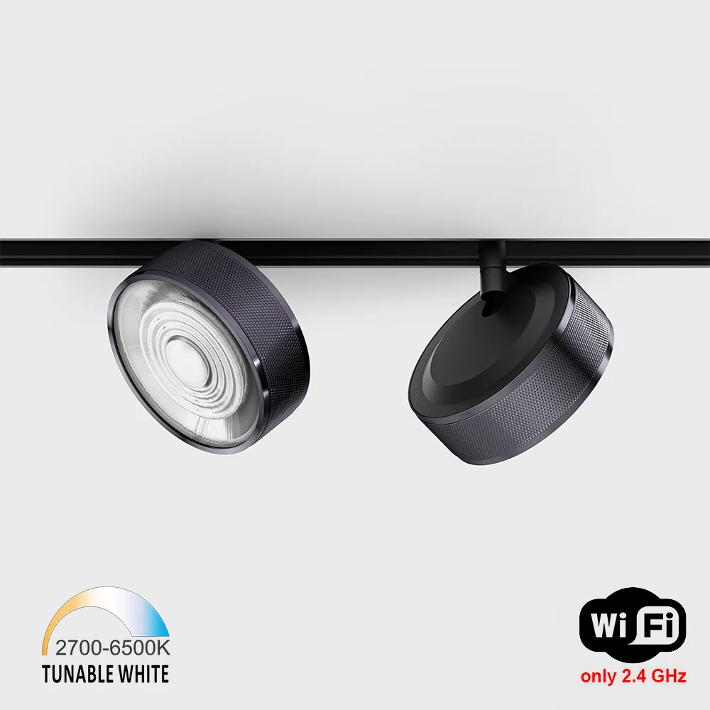 06.9533.13.TW_.DBG_BK_1 Spotlight IN_LINE SOL TW, D95mm, H33mm, LED 13W, TW DIM: 2700K(881Lm)-6500K(1025Lm), 24°, CRI>90, 48V DС, IP20, diamond black/black color - imagine 1